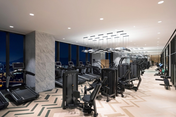 Hotel Novotel Ambassador Seoul Yongsan - Seoul Dragon City